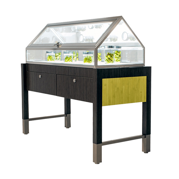 Greenhouse style glass showcase for retail stores.
